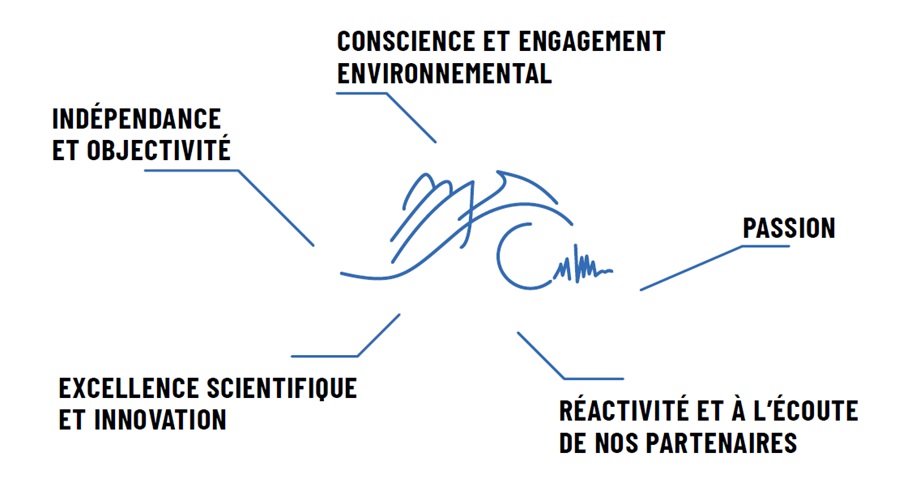 Ecosystème et mesures